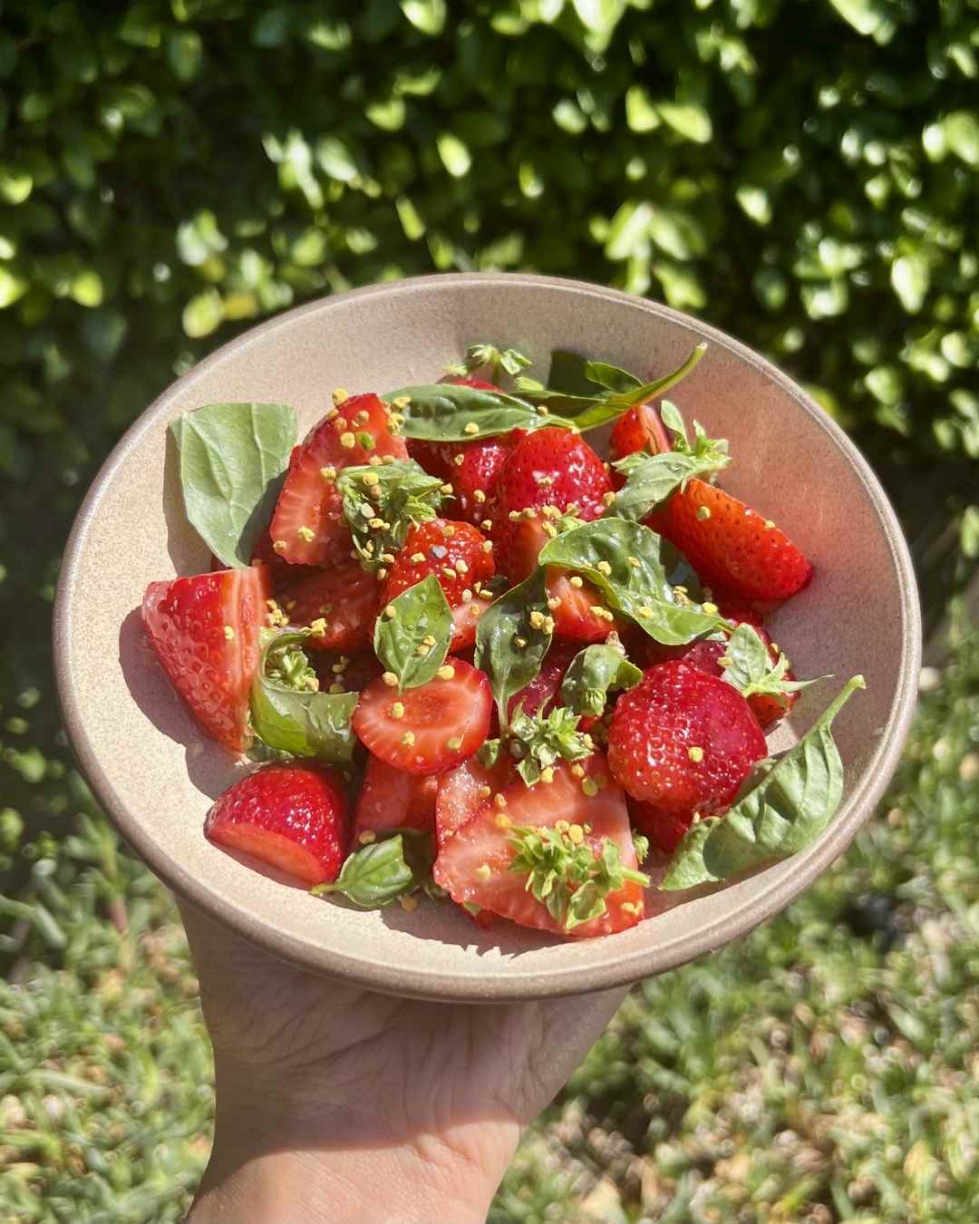 Strawberry basil salad with Bill's Bees honey and bee propolis