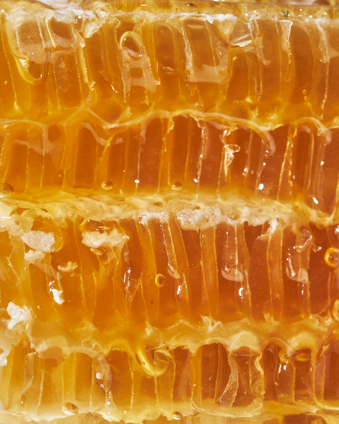 Bill's Bees Honeycomb Closeup available at LA Market Mama's website