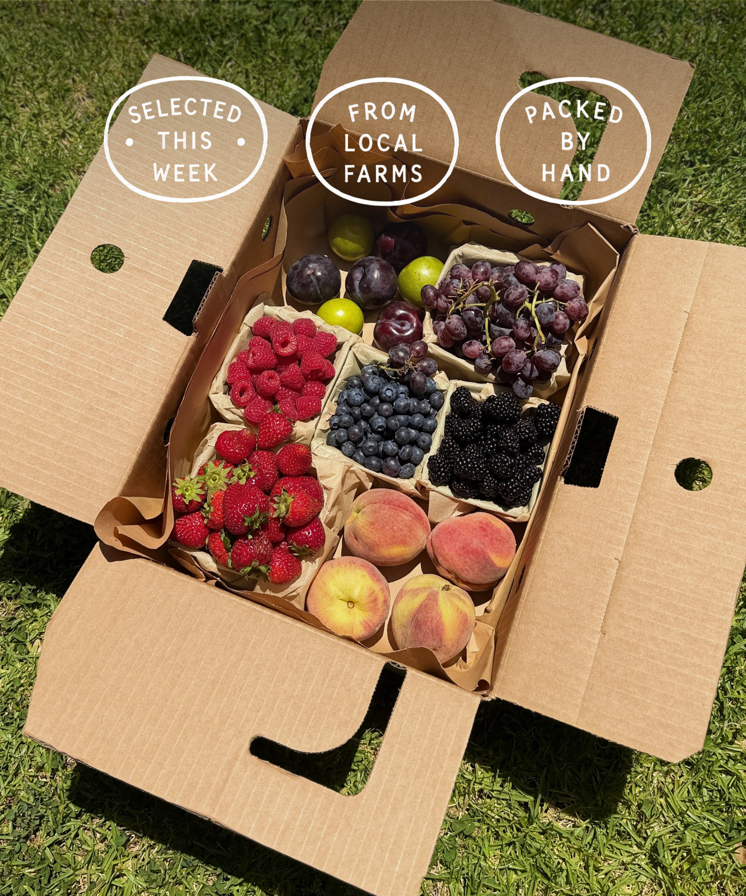 Open cardboard box filled with fresh fruits on a grassy background, with text indicating local farm sourcing.