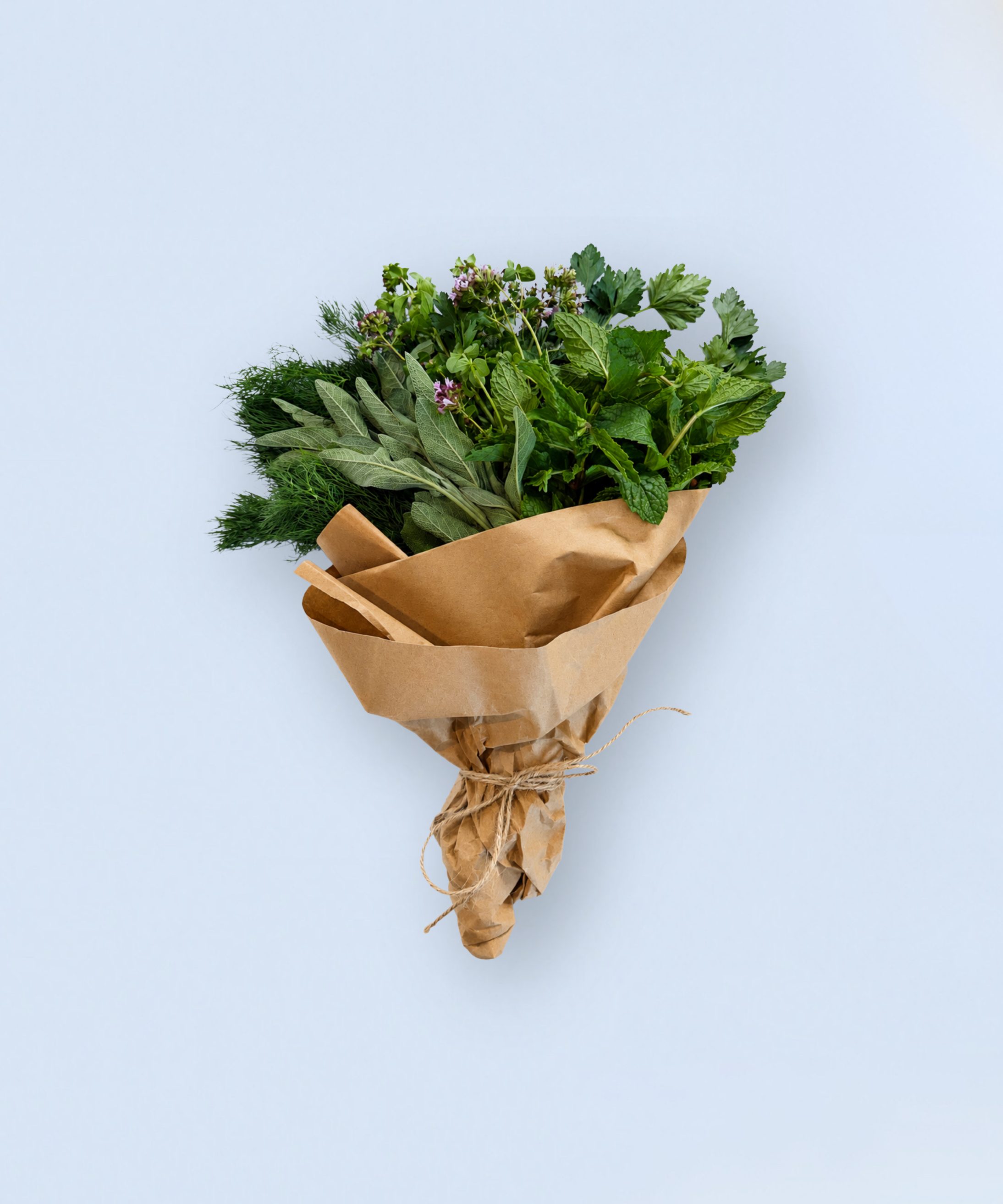 Bouquet of fresh herbs wrapped in brown paper on a light blue background
