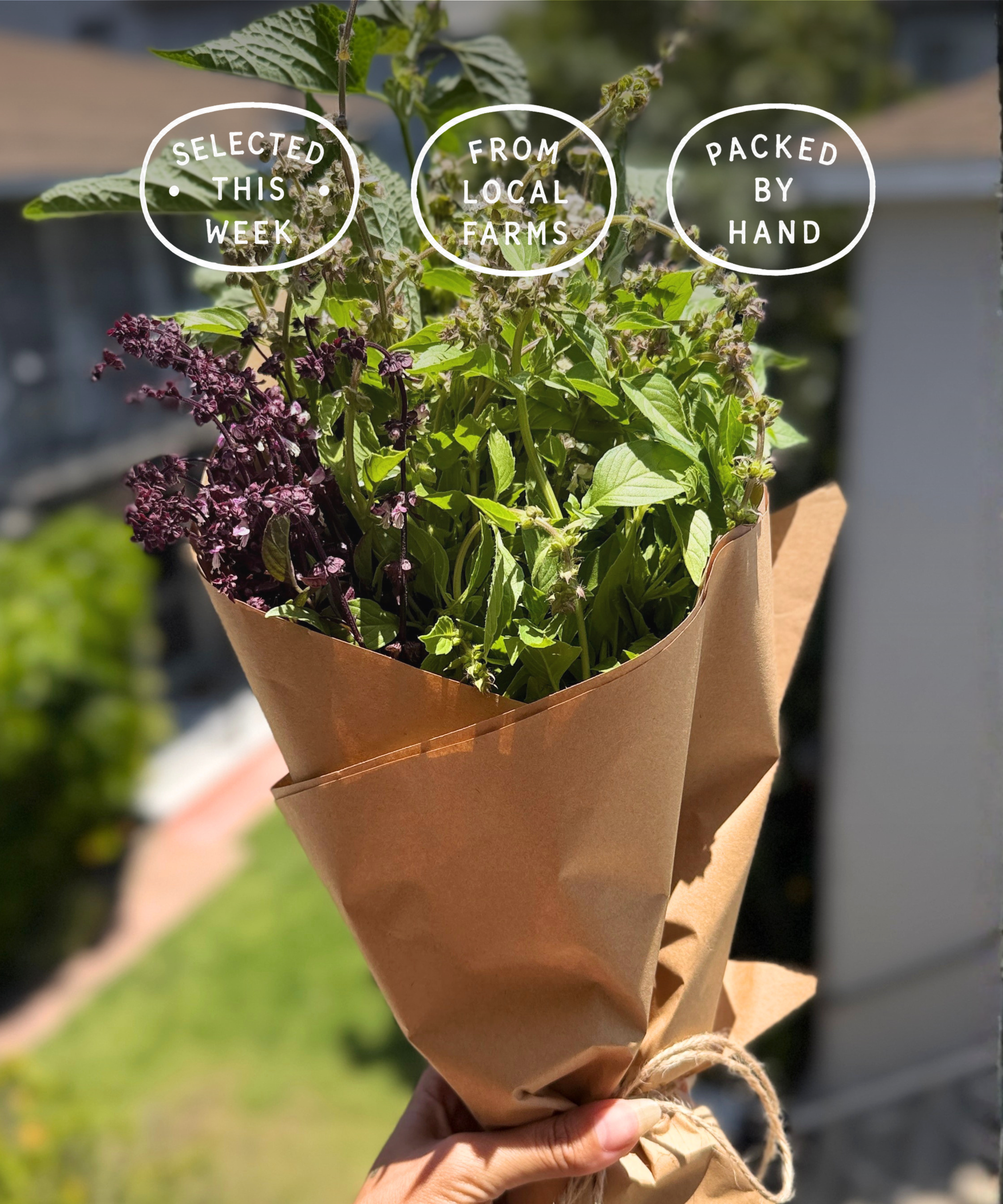 Seasonal herb bouquet with fresh local herbs in Los Angeles