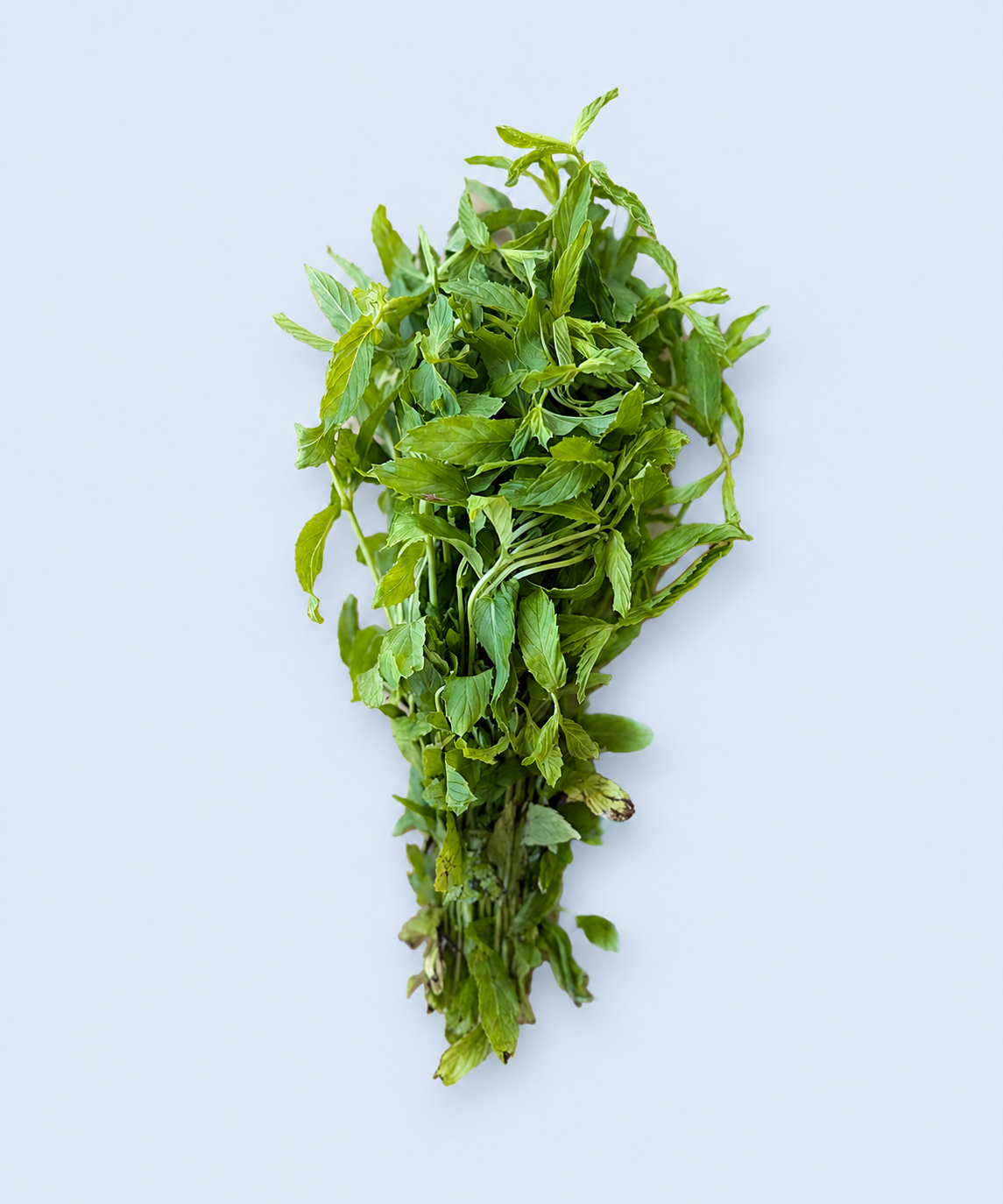 Fresh locally grown mint bunch available from Market Mama in Los Angeles