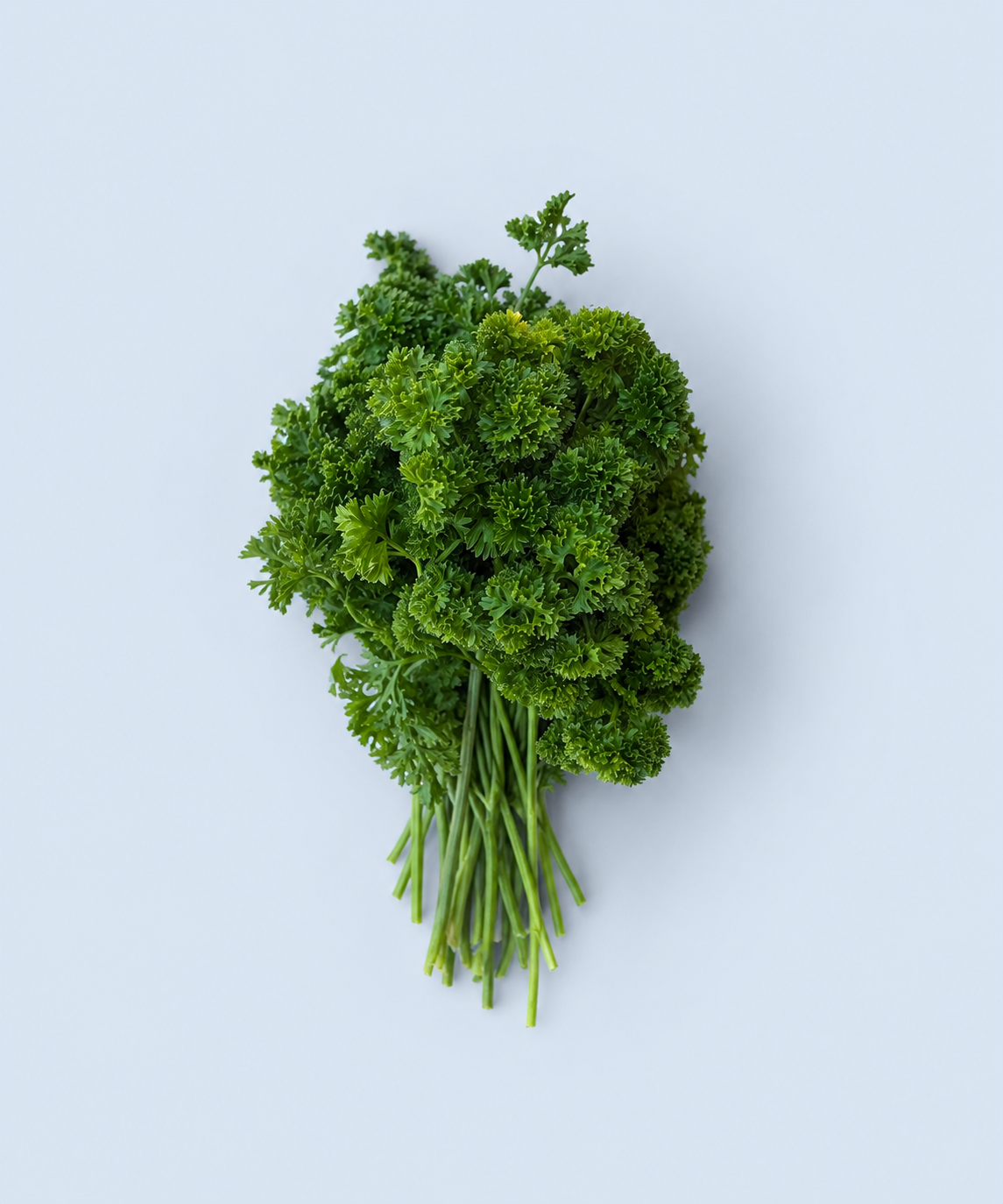 Fresh locally grown parsley bunch available from Market Mama in Los Angeles