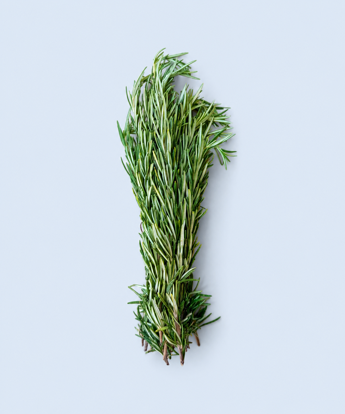 Fresh locally grown rosemary bunch available from Market Mama in Los Angeles