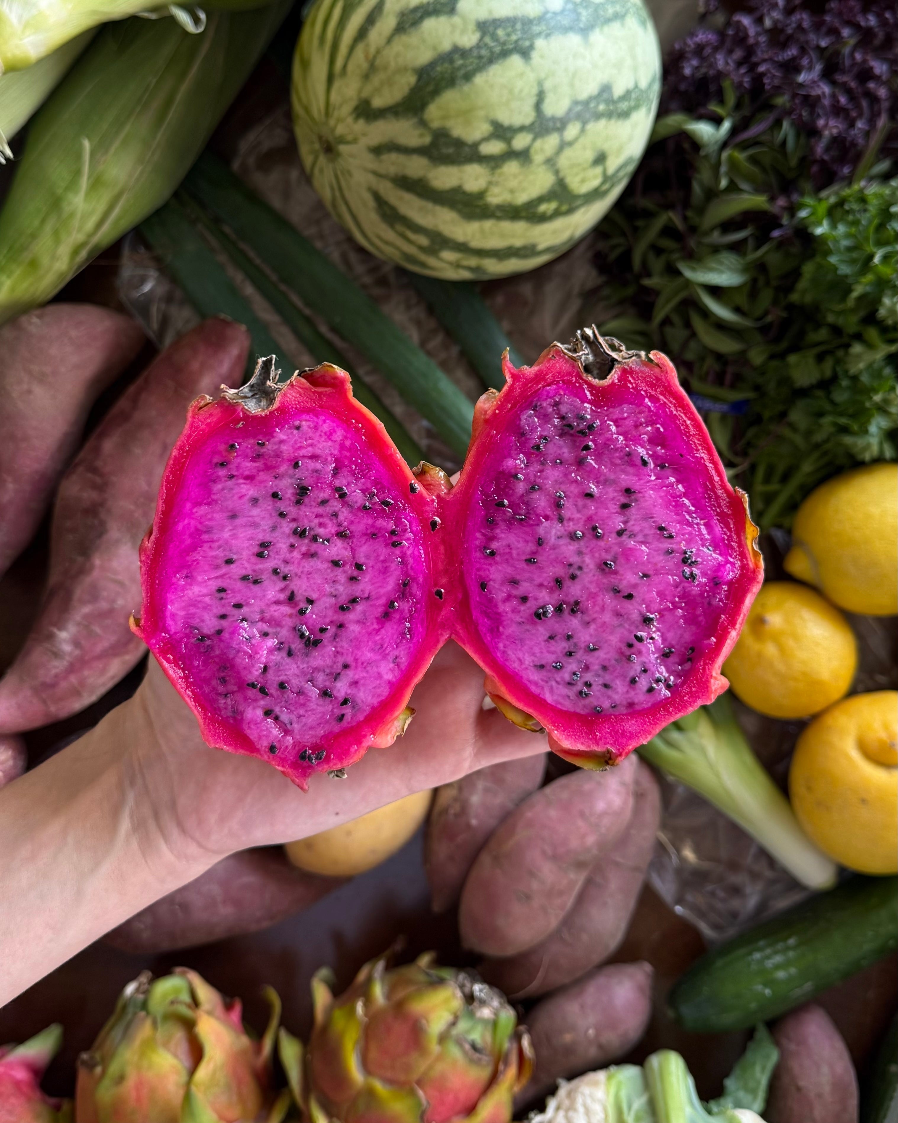 Seasonal August produce from Southern California farms in a Market Mama box in Los Angeles