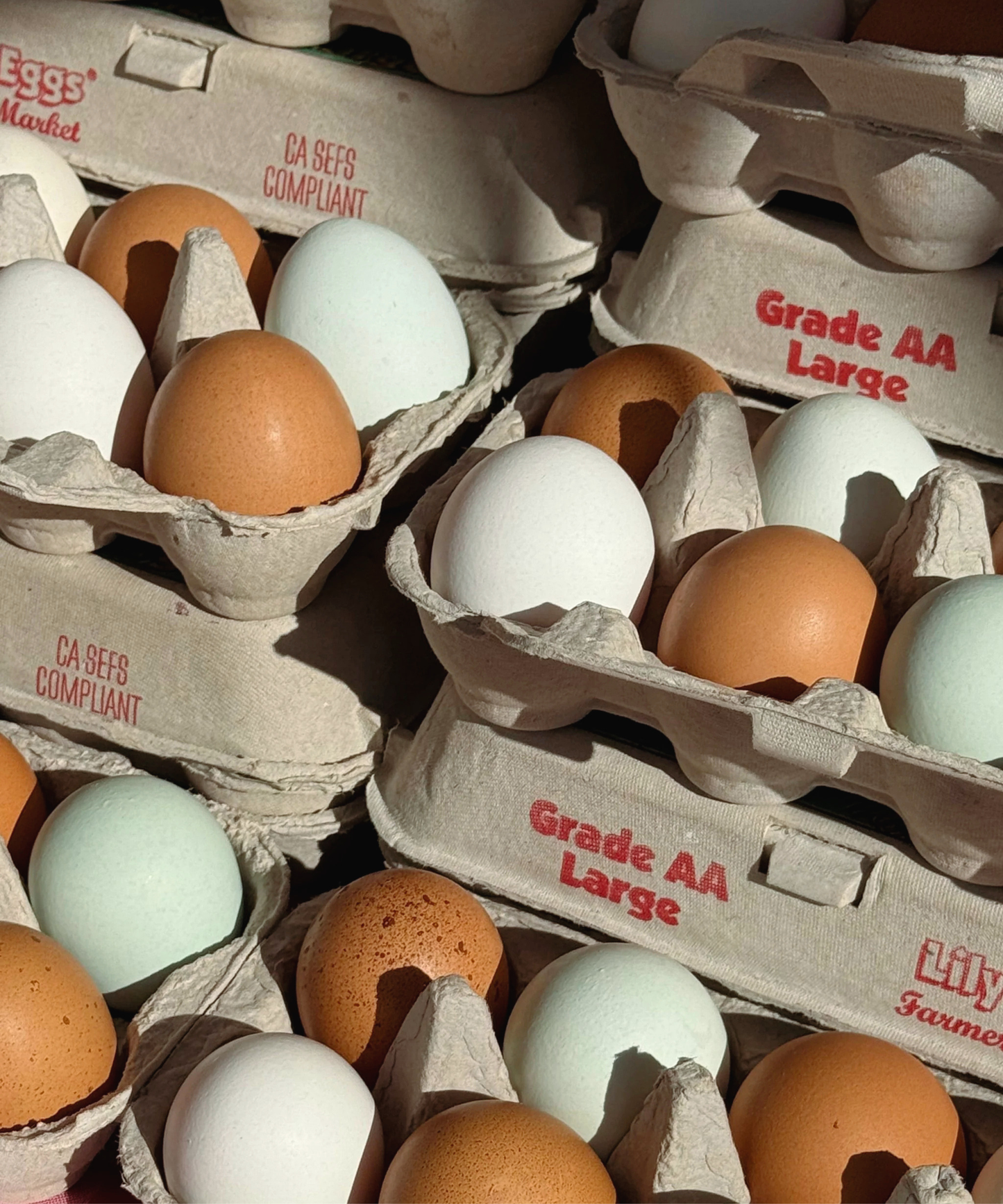Local Heirloom Eggs (6)