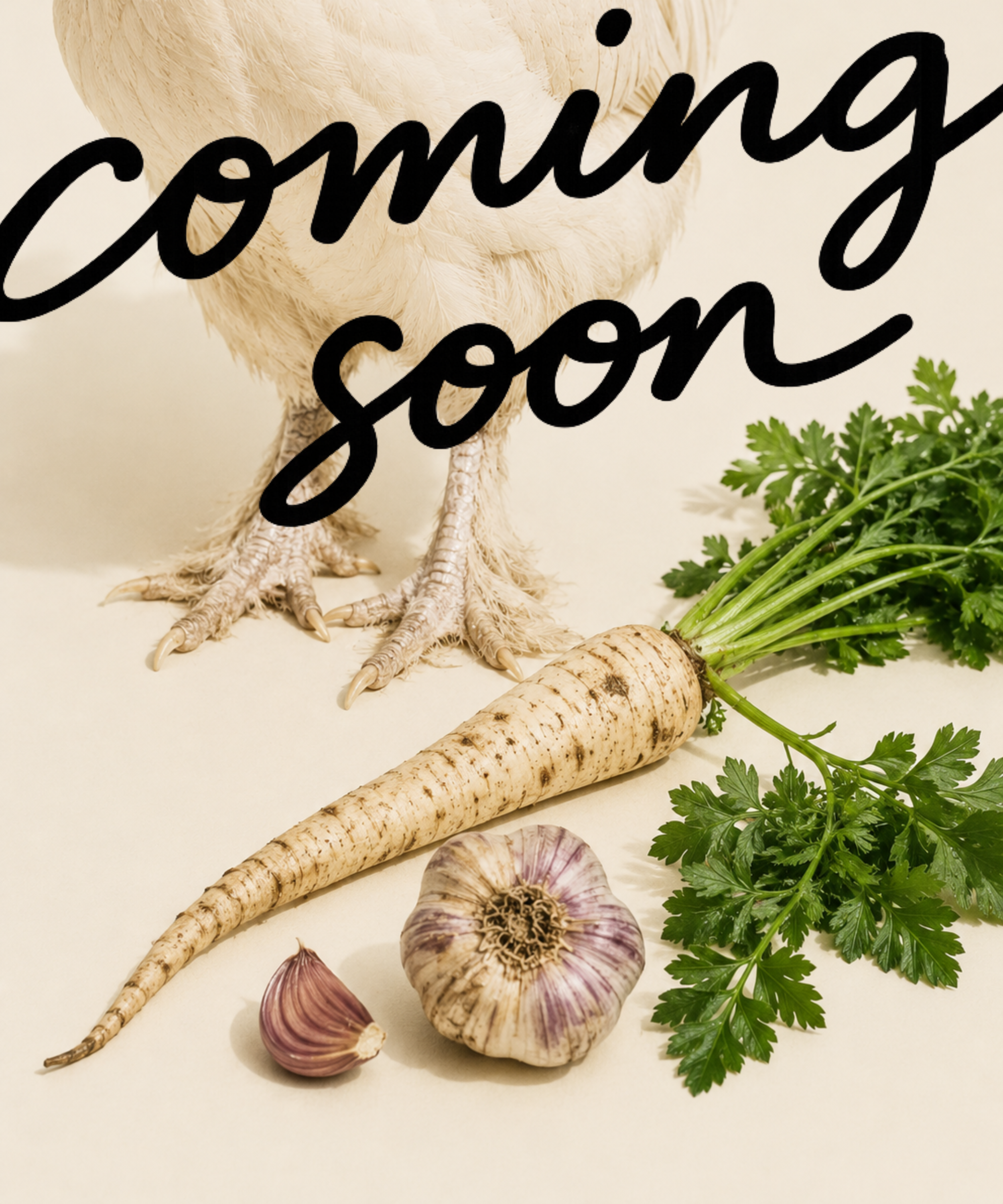 Amy's Chicken Feet Broth