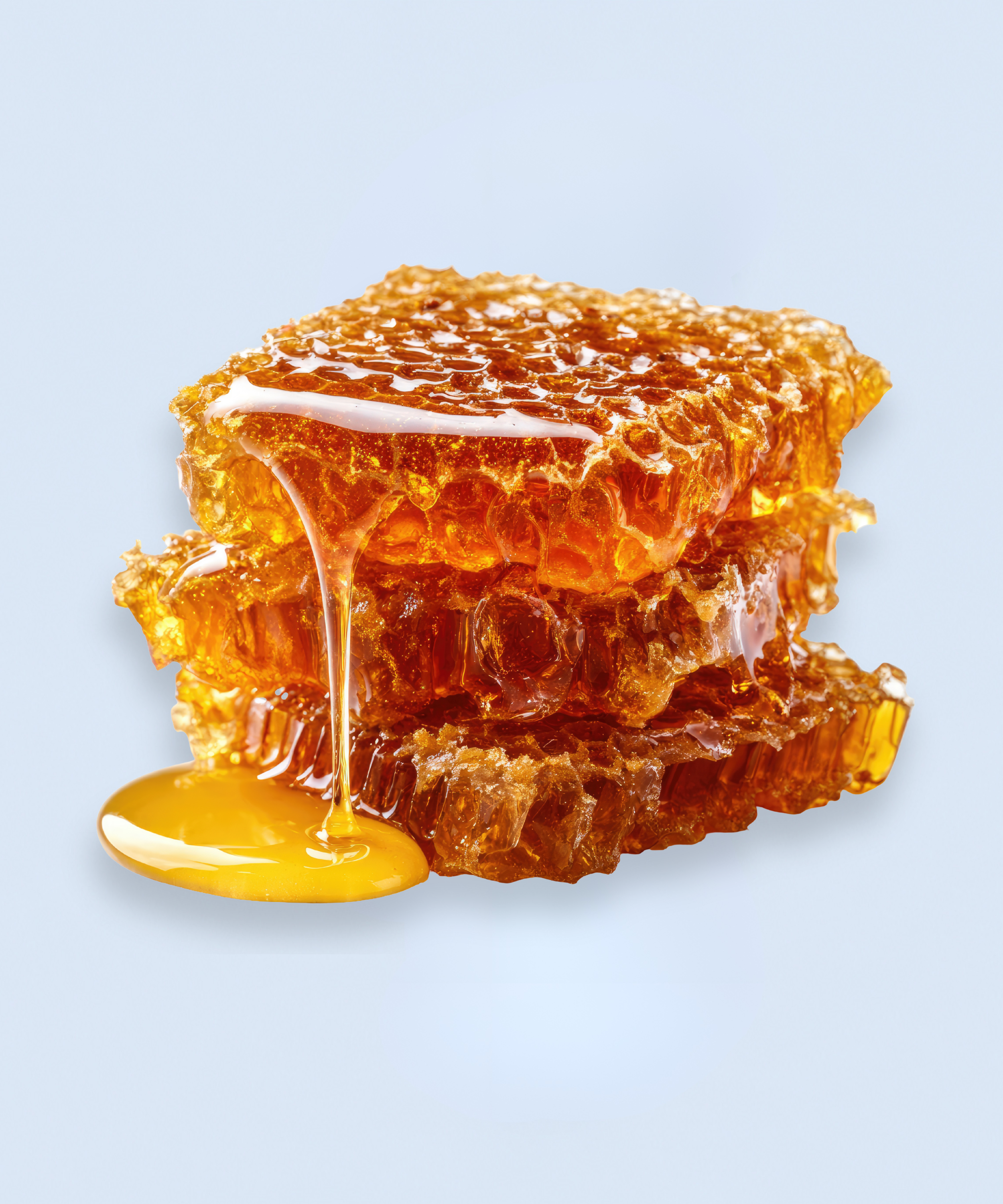 Bill’s Bees Wildflower Honeycomb