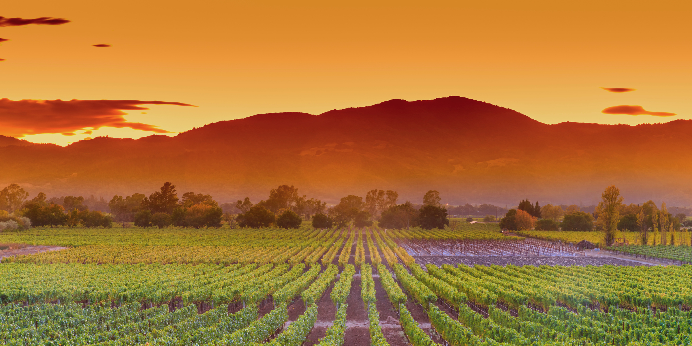 Sunset over a field with mountains in the background