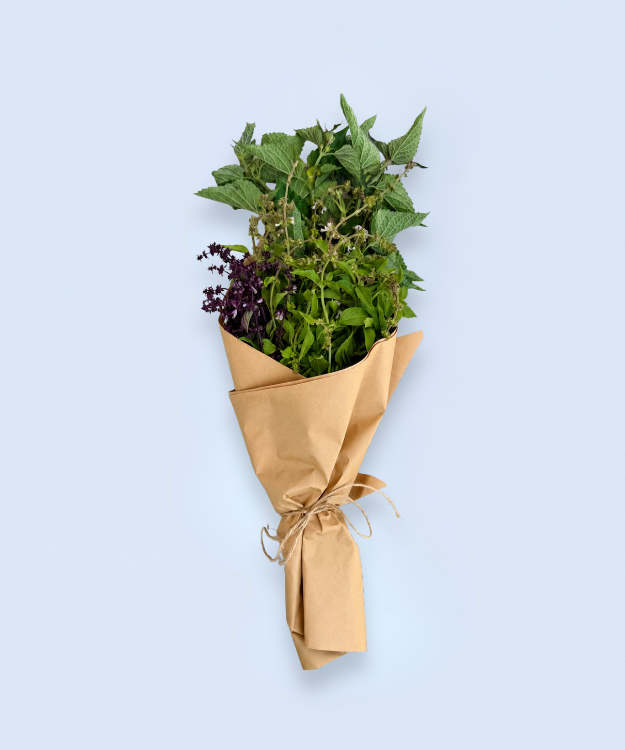 Bouquet of fresh green herbs wrapped in brown paper on a light blue background