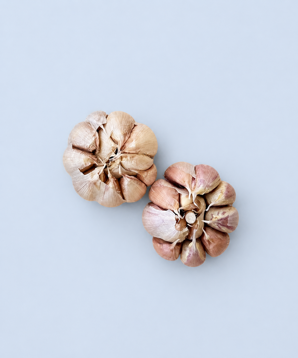 Two locally grown heirloom garlic bulbs available from Market Mama in Los Angeles