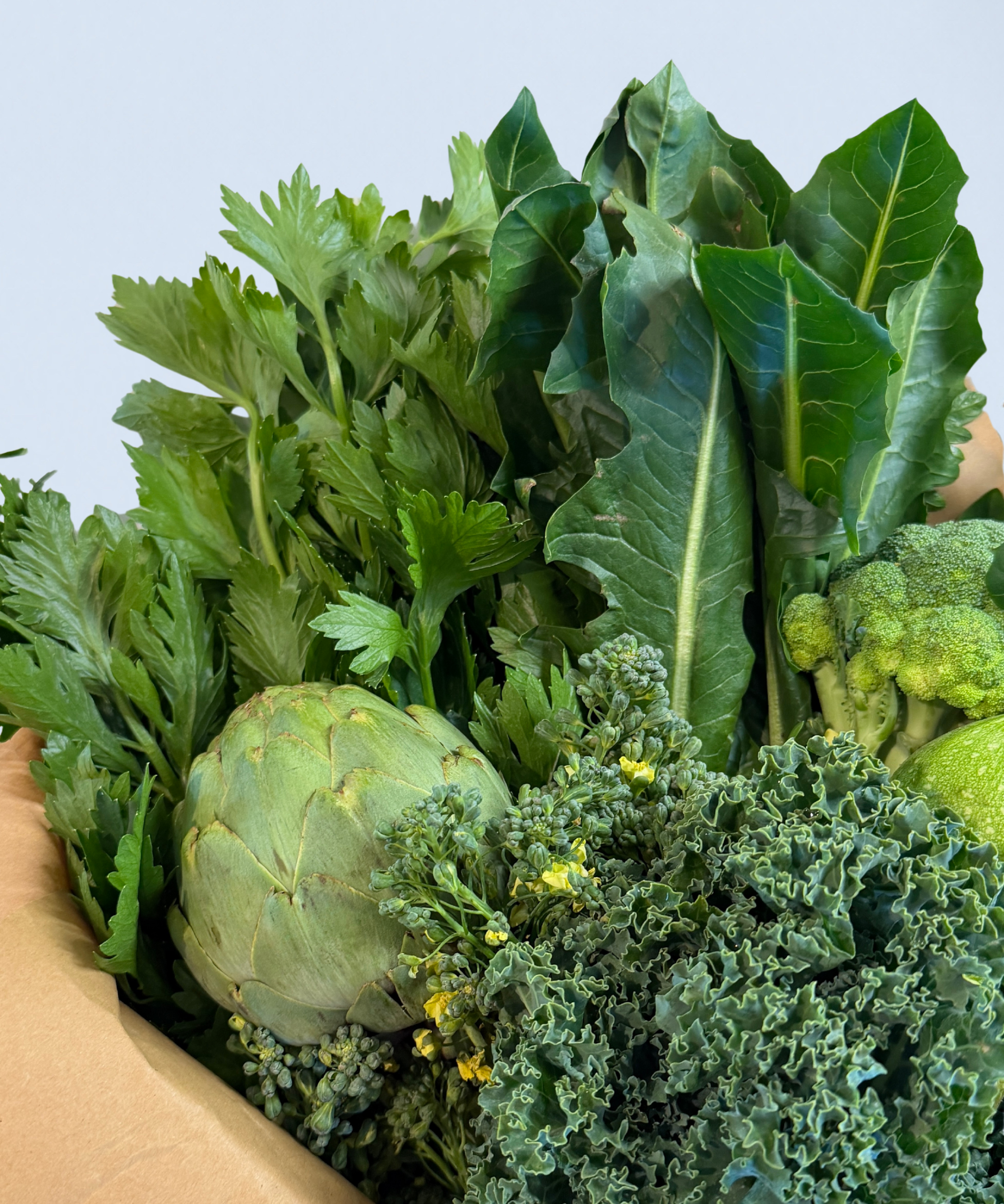Assorted green leafy vegetables held by a person against a light blue background